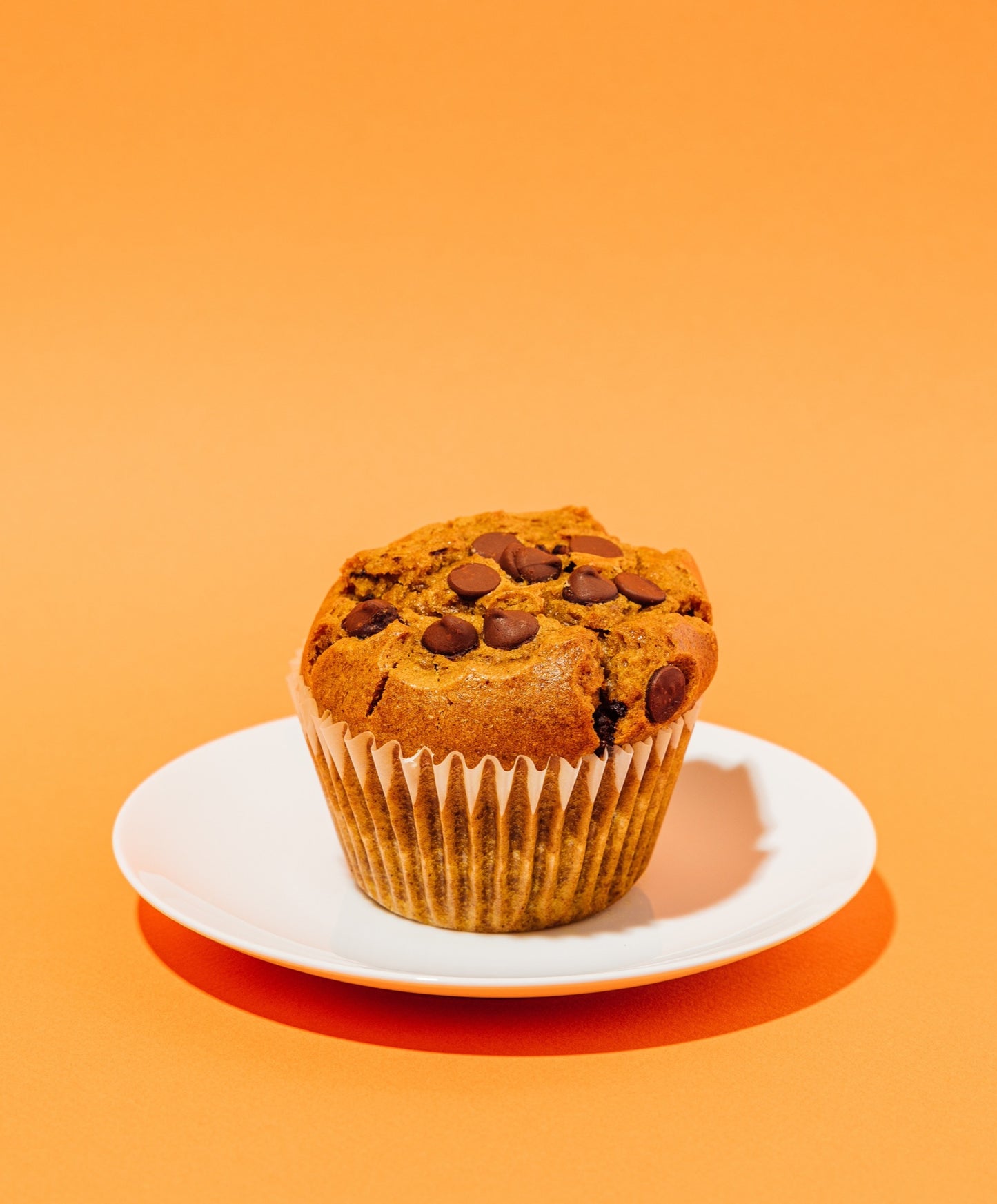 Chocolate Chip Pumpkin Muffin